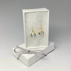 Chic Blue Crystal Earrings