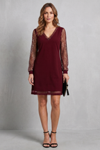 Sheer Sparkle Sleeves Mini Dress