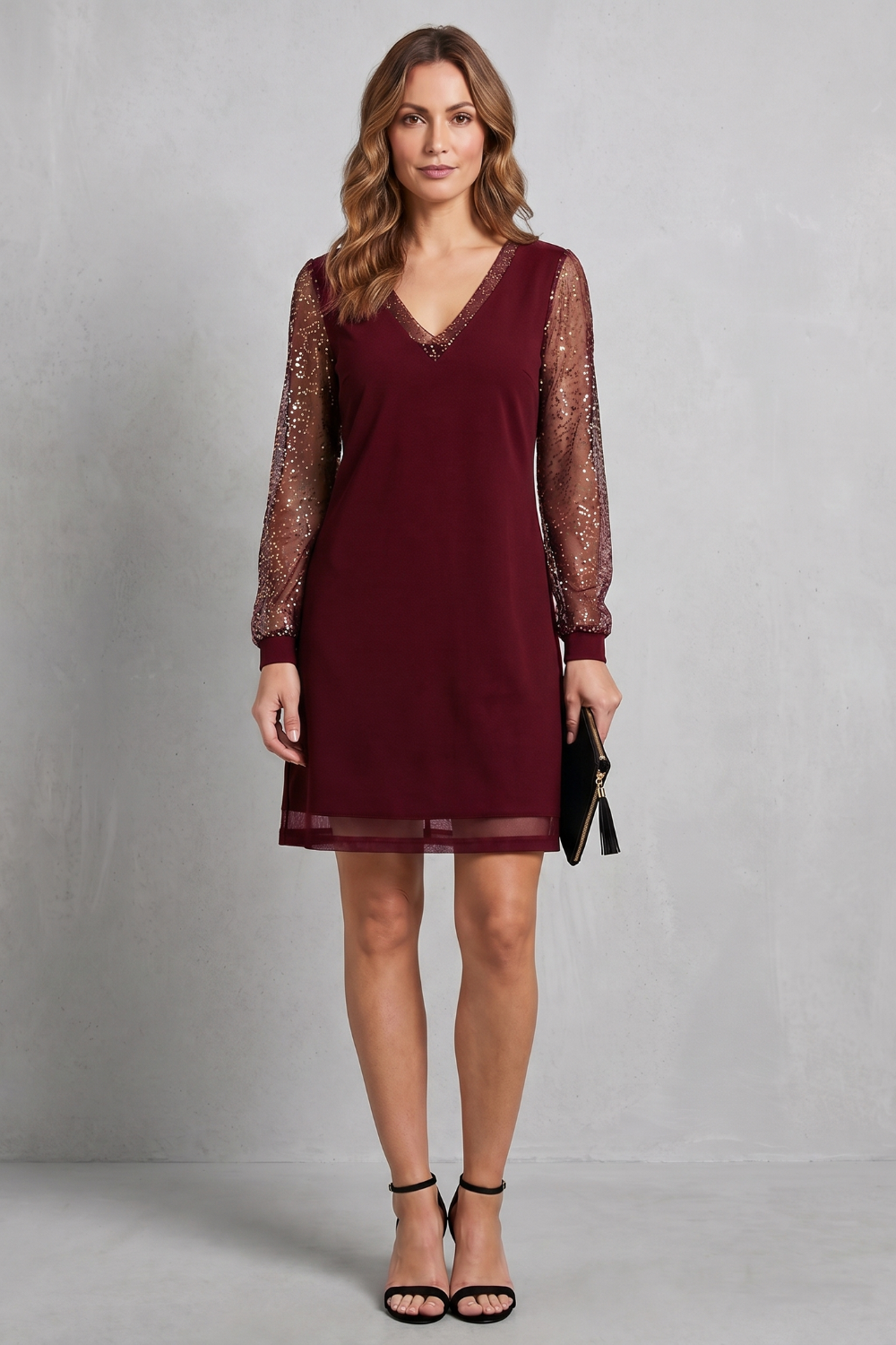 Sheer Sparkle Sleeves Mini Dress