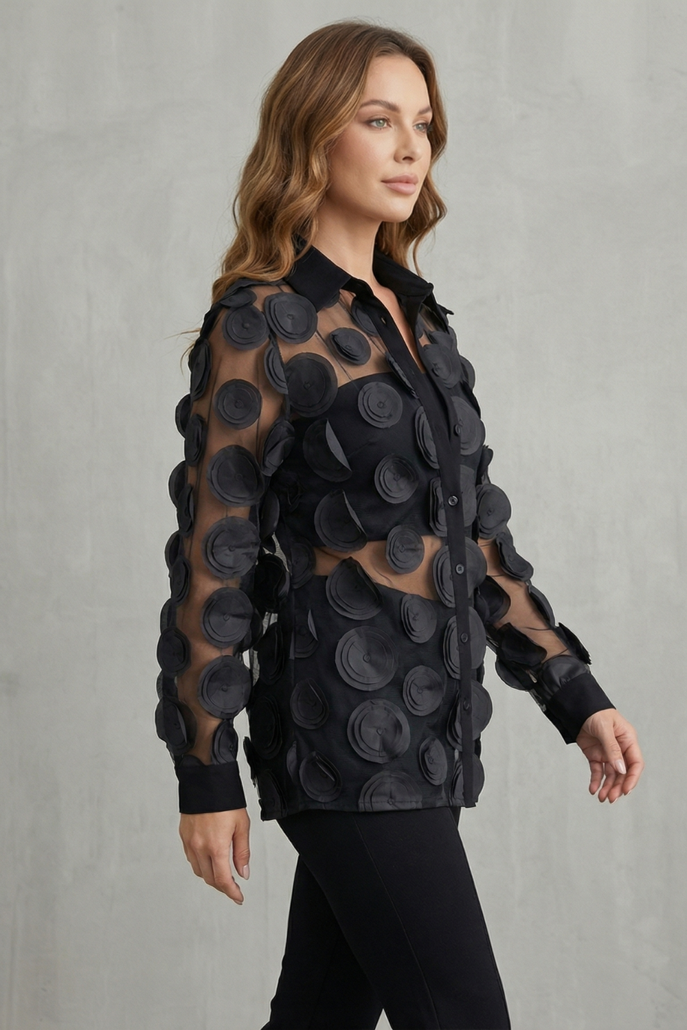 Sheer Floral Appliqué Design Mesh Blouse