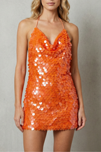 Sequin Shimmer Elegance Mini Dress