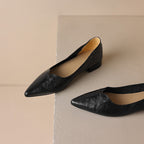 Serelle Point Leather Flats