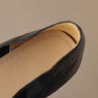 Serelle Point Leather Flats