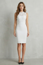 Lace Bodycon Elegance Mini Dress