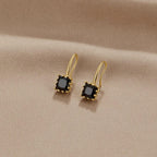Crystal Black Stone Drop Earrings